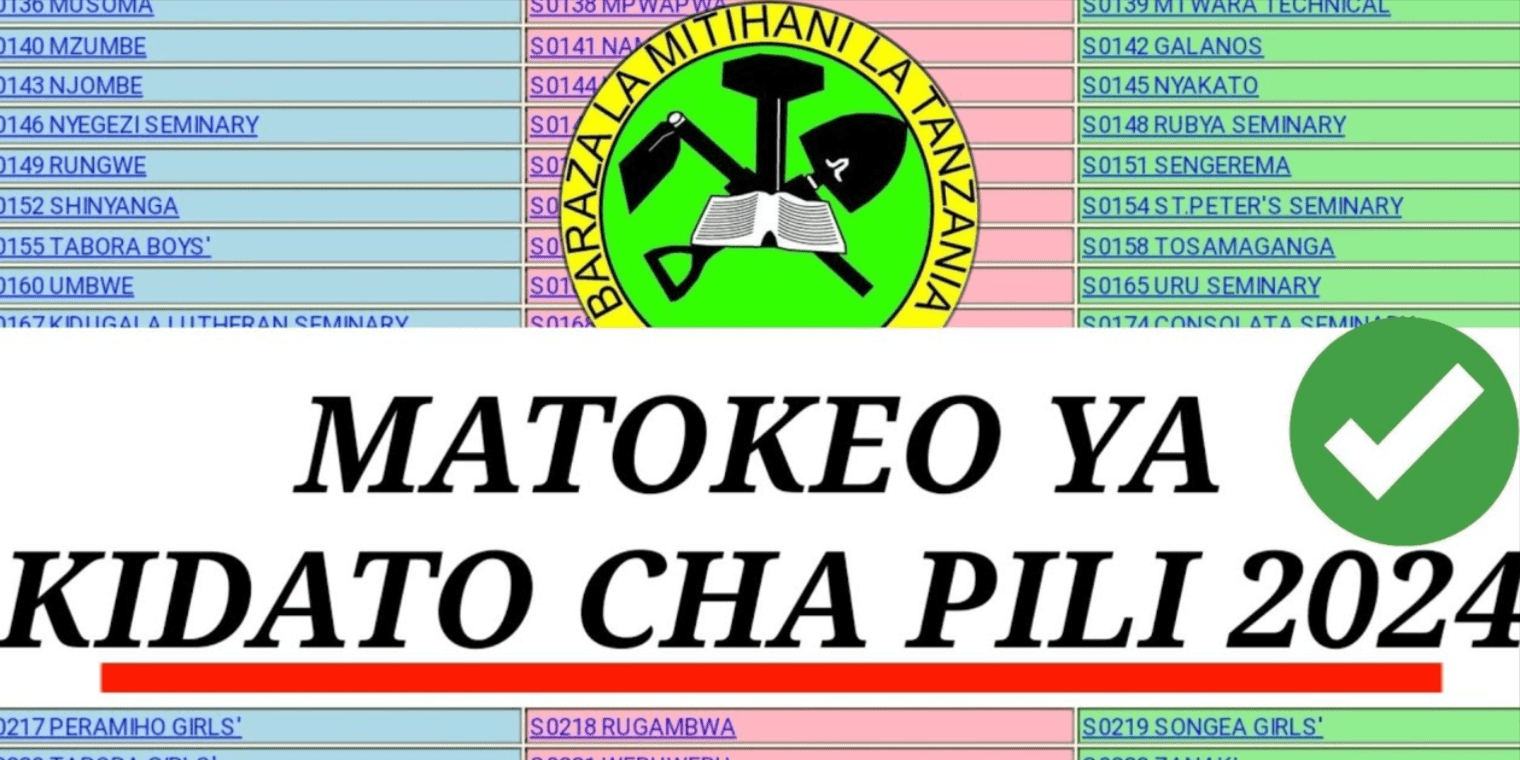 Matokeo Kidato Cha Nne 2024/2025: How to Check Your CSEE Exam Results